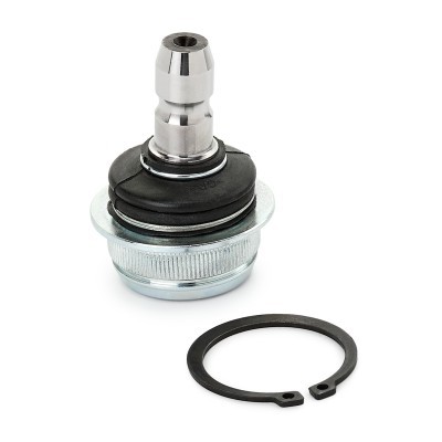 Ball Joint RIDEX 2462S0600 2462S0600 - photo 2