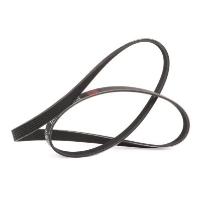 V-Ribbed Belt RIDEX 305P0144P 305P0144P - photo 3