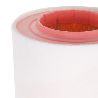 Air Filter RIDEX 8A1641 8A1641 - photo 5