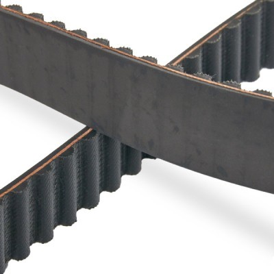 Timing Belt RIDEX 306T0008P 306T0008P - photo 5