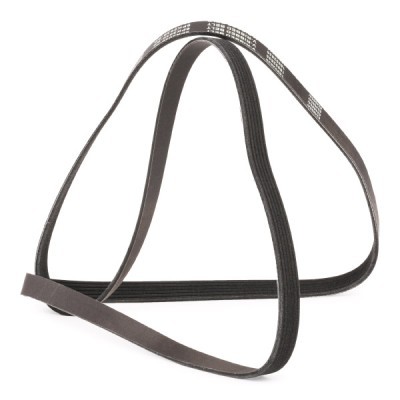 V-Ribbed Belt RIDEX 305P0243P 305P0243P - photo 3