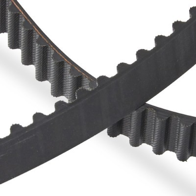 Timing Belt RIDEX 306T0007P 306T0007P - photo 5