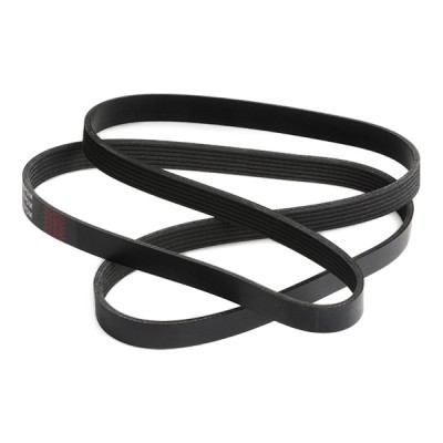 V-Ribbed Belt RIDEX 305P0080 305P0080 - photo 5