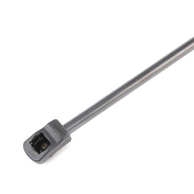 Bonnet  Gas Spring RIDEX 514G0124 514G0124 - photo 4