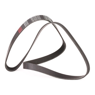 V-Ribbed Belt RIDEX 305P0237P 305P0237P - photo 3