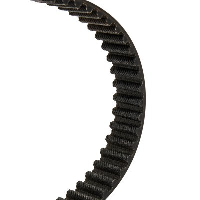 Timing Belt RIDEX 306T0083P 306T0083P - photo 4