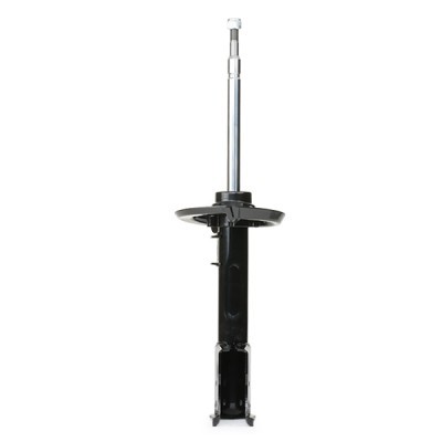Shock Absorber RIDEX 854S0061 854S0061 - photo 6