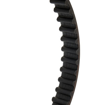 Timing Belt RIDEX 306T0151P 306T0151P - photo 4