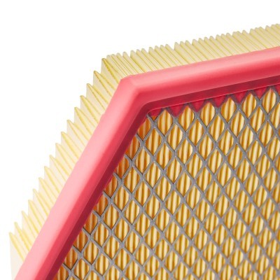 Air Filter RIDEX 8A1118 8A1118 - photo 6