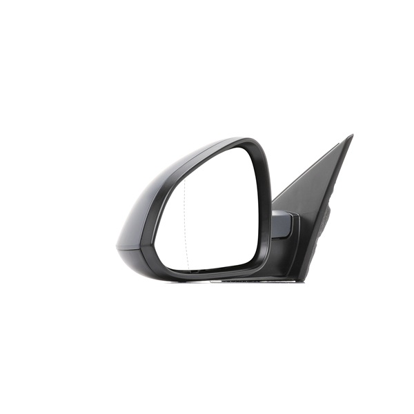 Wing Mirror RIDEX 50O0567 50O0567 - photo 1