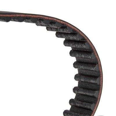 Timing Belt RIDEX 306T0319 306T0319 - photo 4