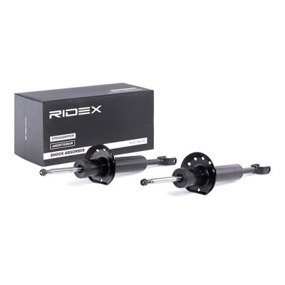 Shock Absorber RIDEX 854S1569 854S1569 - photo 2