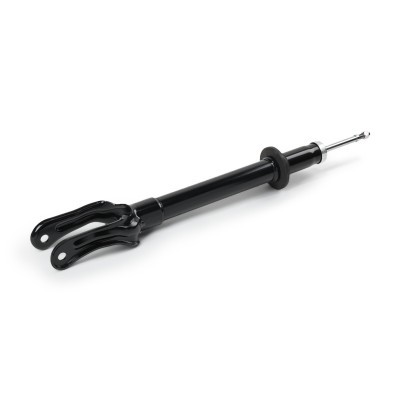 Shock Absorber RIDEX 854S17807 854S17807 - photo 3
