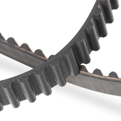 Timing Belt RIDEX 306T0046P 306T0046P - photo 5