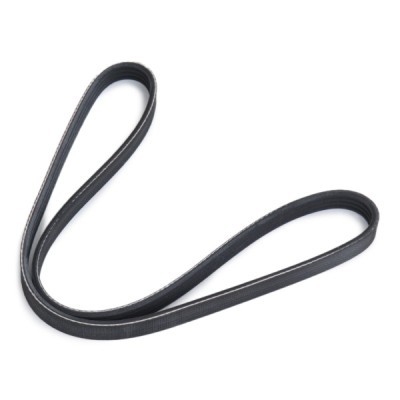 V-Ribbed Belt RIDEX 305P0524 305P0524 - photo 3