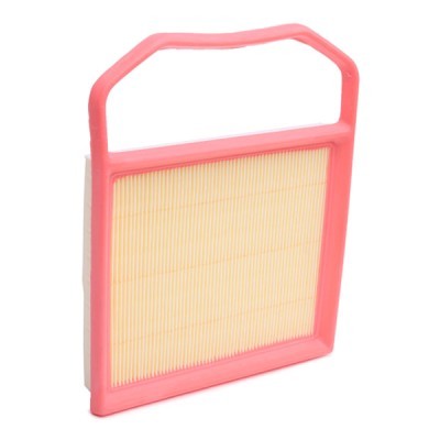 Air Filter RIDEX 8A1198 8A1198 - photo 3