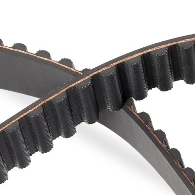 Timing Belt RIDEX 306T0011P 306T0011P - photo 5