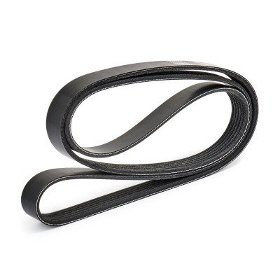 V-Ribbed Belt RIDEX 305P0308 305P0308 - photo 5