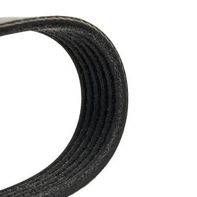 V-Ribbed Belt RIDEX 305P0096P 305P0096P - photo 5