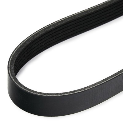 V-Ribbed Belt RIDEX 305P0614 305P0614 - photo 4