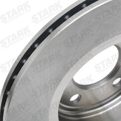 Brake Disc Stark SKBD-0020209 SKBD-0020209 - photo 11