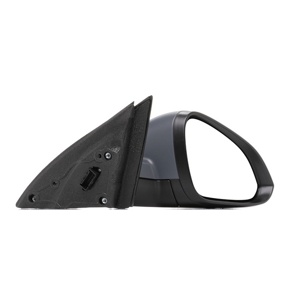 Wing Mirror RIDEX 50O0671 50O0671 - photo 1