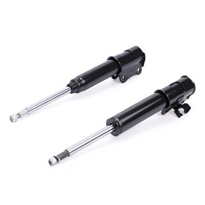 Shock Absorber RIDEX 854S2078 854S2078 - photo 4