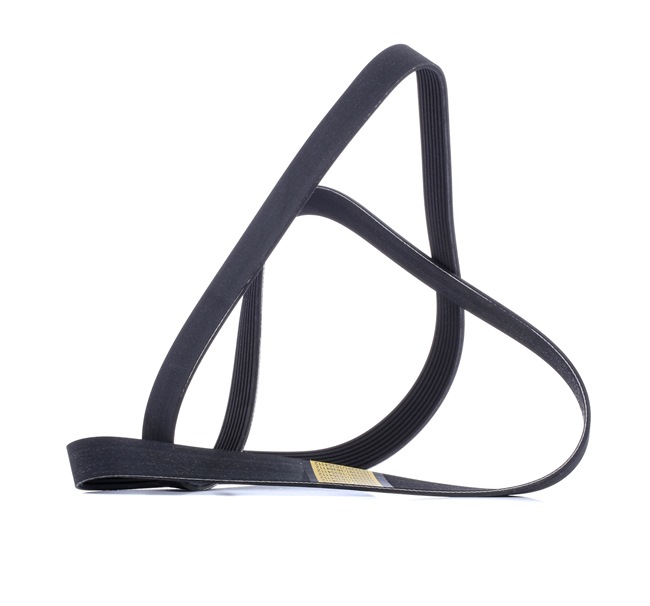 V-Ribbed Belt RIDEX 305P0491 305P0491 - photo 1