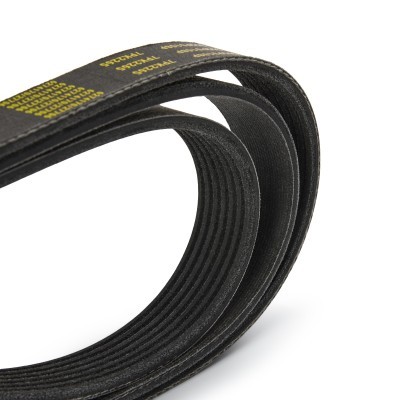 V-Ribbed Belt RIDEX 305P0108P 305P0108P - photo 5