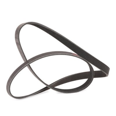 V-Ribbed Belt RIDEX 305P0179P 305P0179P - photo 3