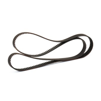 Timing Belt RIDEX 306T0231P 306T0231P - photo 3