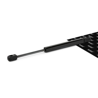 Bonnet  Gas Spring RIDEX 514G0109 514G0109 - photo 1
