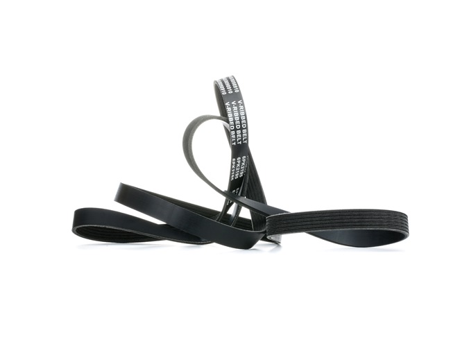 V-Ribbed Belt RIDEX 305P0185 305P0185 - photo 1