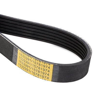 V-Ribbed Belt RIDEX 305P0467 305P0467 - photo 4