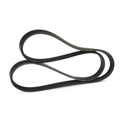 V-Ribbed Belt RIDEX 305P0667 305P0667 - photo 2