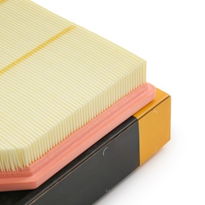 Air Filter RIDEX 8A1143 8A1143 - photo 5