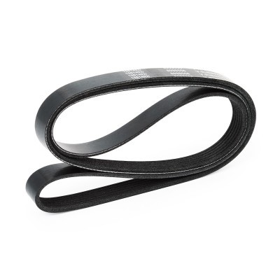 V-Ribbed Belt RIDEX 305P0173 305P0173 - photo 4