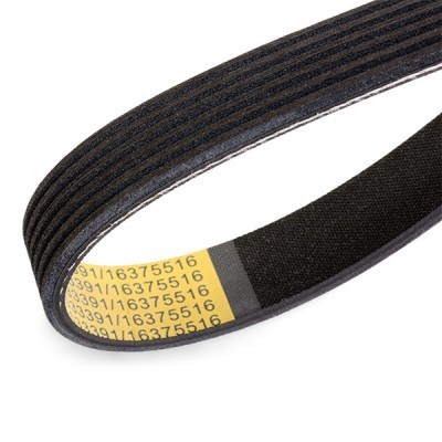 V-Ribbed Belt RIDEX 305P0508 305P0508 - photo 4