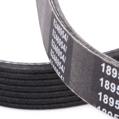 V-Ribbed Belt RIDEX 305P0241P 305P0241P - photo 5