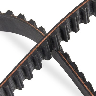 Timing Belt RIDEX 306T0019P 306T0019P - photo 5