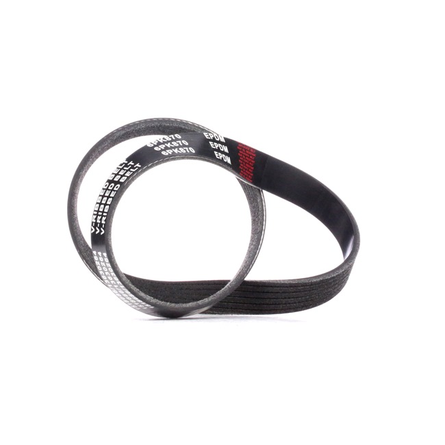 V-Ribbed Belt RIDEX 305P0204 305P0204 - photo 1