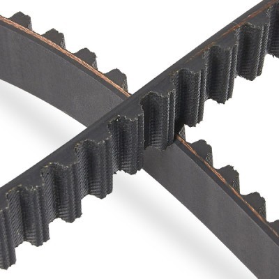 Timing Belt RIDEX 306T0010P 306T0010P - photo 5