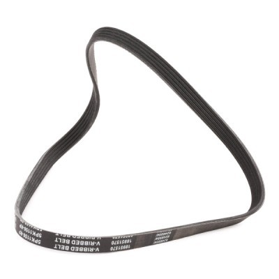 V-Ribbed Belt RIDEX 305P0152P 305P0152P - photo 3