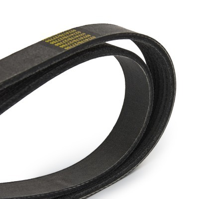 V-Ribbed Belt RIDEX 305P0066P 305P0066P - photo 5