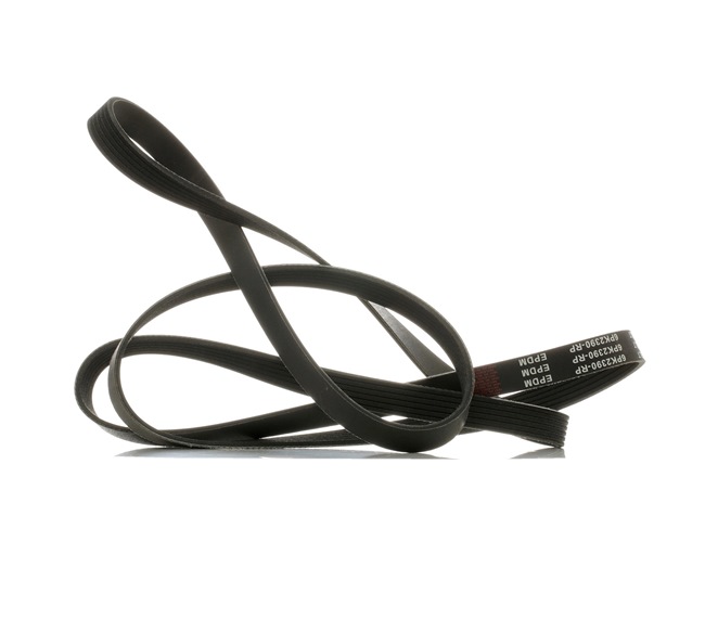 V-Ribbed Belt RIDEX 305P0102P 305P0102P - photo 1