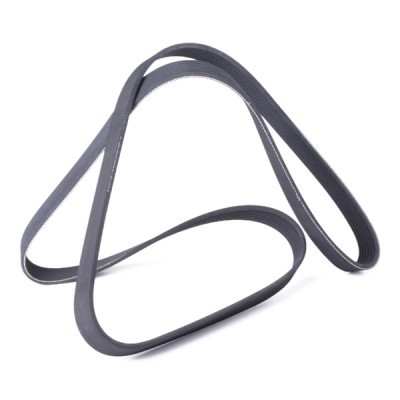 V-Ribbed Belt RIDEX 305P0444 305P0444 - photo 3