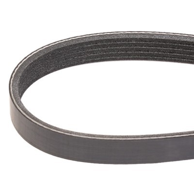 V-Ribbed Belt RIDEX 305P0321 305P0321 - photo 3