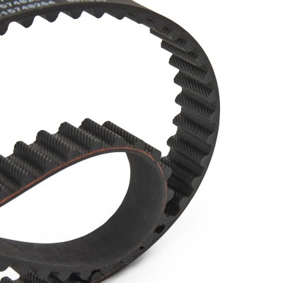 Timing Belt RIDEX 306T0284 306T0284 - photo 3
