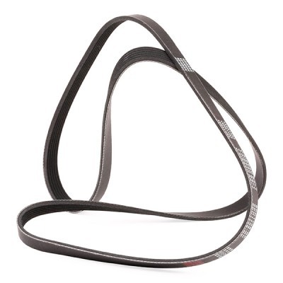 V-Ribbed Belt RIDEX 305P0082P 305P0082P - photo 3