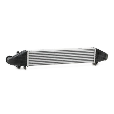Intercooler, Charger RIDEX 468I0095 468I0095 - photo 4